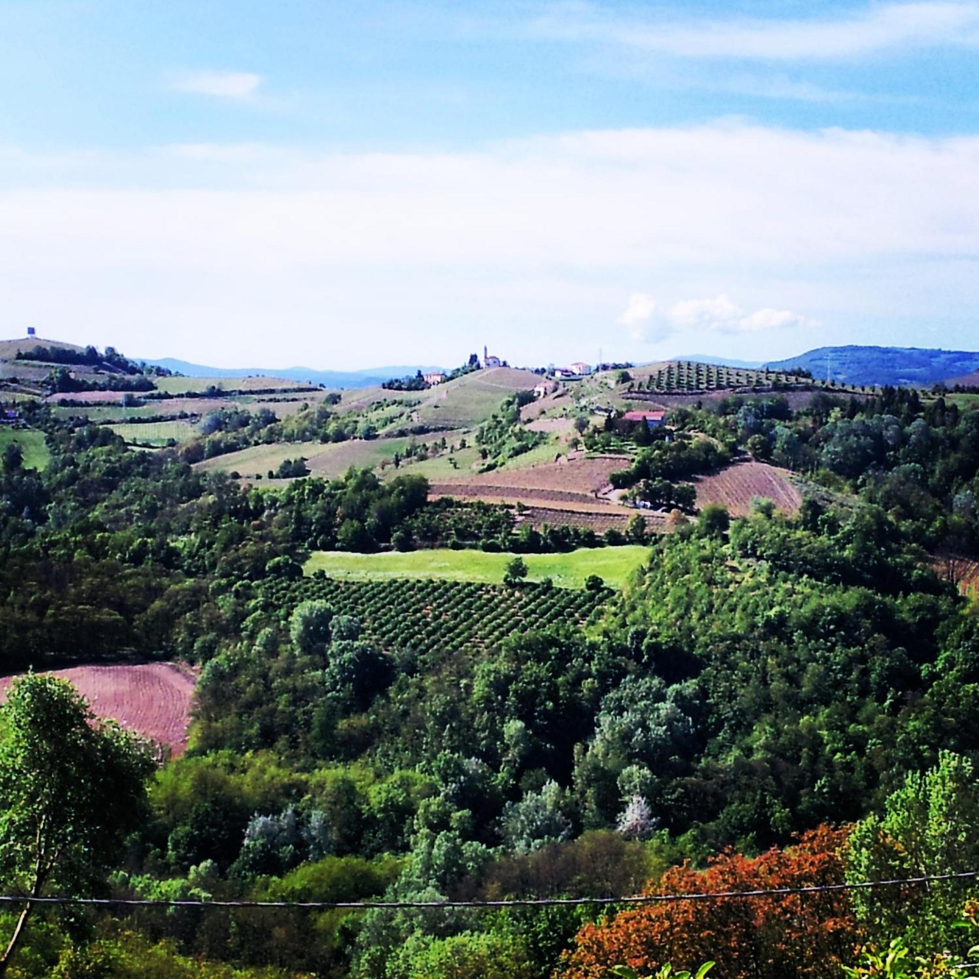 Bed And Breakfast Val D'Oche Castel Boglione Exteriör bild